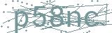 Fehler beim Laden des Captchas