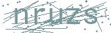 Fehler beim Laden des Captchas