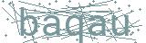 Fehler beim Laden des Captchas