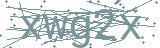 Fehler beim Laden des Captchas