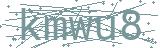 Fehler beim Laden des Captchas