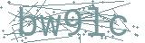 Fehler beim Laden des Captchas