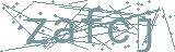 Fehler beim Laden des Captchas