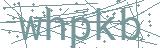 Fehler beim Laden des Captchas