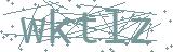 Fehler beim Laden des Captchas