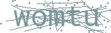 Fehler beim Laden des Captchas