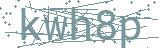 Fehler beim Laden des Captchas