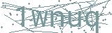 Fehler beim Laden des Captchas