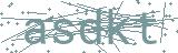 Failed to load captcha