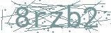 Failed to load captcha