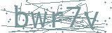 Failed to load captcha