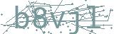 Failed to load captcha