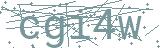 Failed to load captcha