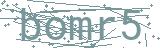 Failed to load captcha