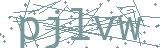 Erreur de chargement de la Captcha