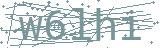 Fehler beim Laden des Captchas