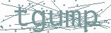 Fehler beim Laden des Captchas