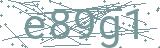 Fehler beim Laden des Captchas