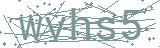 Fehler beim Laden des Captchas