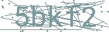 Fehler beim Laden des Captchas