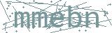 Fehler beim Laden des Captchas