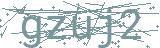 Fehler beim Laden des Captchas