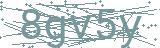 Fehler beim Laden des Captchas