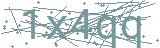 Fehler beim Laden des Captchas