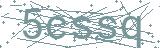 Fehler beim Laden des Captchas
