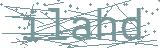 Fehler beim Laden des Captchas
