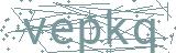 Fehler beim Laden des Captchas