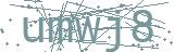 Fehler beim Laden des Captchas