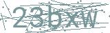 Fehler beim Laden des Captchas