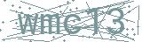 Fehler beim Laden des Captchas