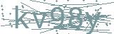Fehler beim Laden des Captchas