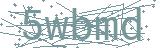 Fehler beim Laden des Captchas