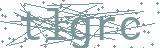 Fehler beim Laden des Captchas