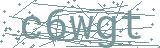 Fehler beim Laden des Captchas