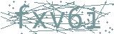 Fehler beim Laden des Captchas