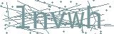Fehler beim Laden des Captchas