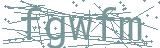 Fehler beim Laden des Captchas