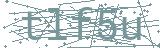 Fehler beim Laden des Captchas
