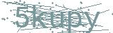 Fehler beim Laden des Captchas