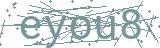 Fehler beim Laden des Captchas
