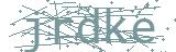 Fehler beim Laden des Captchas