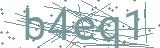 Fehler beim Laden des Captchas