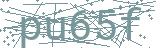 Fehler beim Laden des Captchas