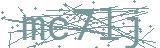 Fehler beim Laden des Captchas