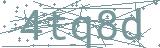 Fehler beim Laden des Captchas