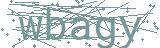 Fehler beim Laden des Captchas